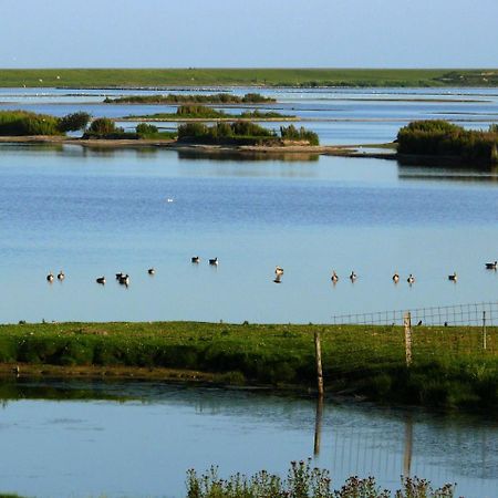 Haus-Halligblick-Ferienwohnung-Hamburger-Hallig Dagebüll Zewnętrze zdjęcie