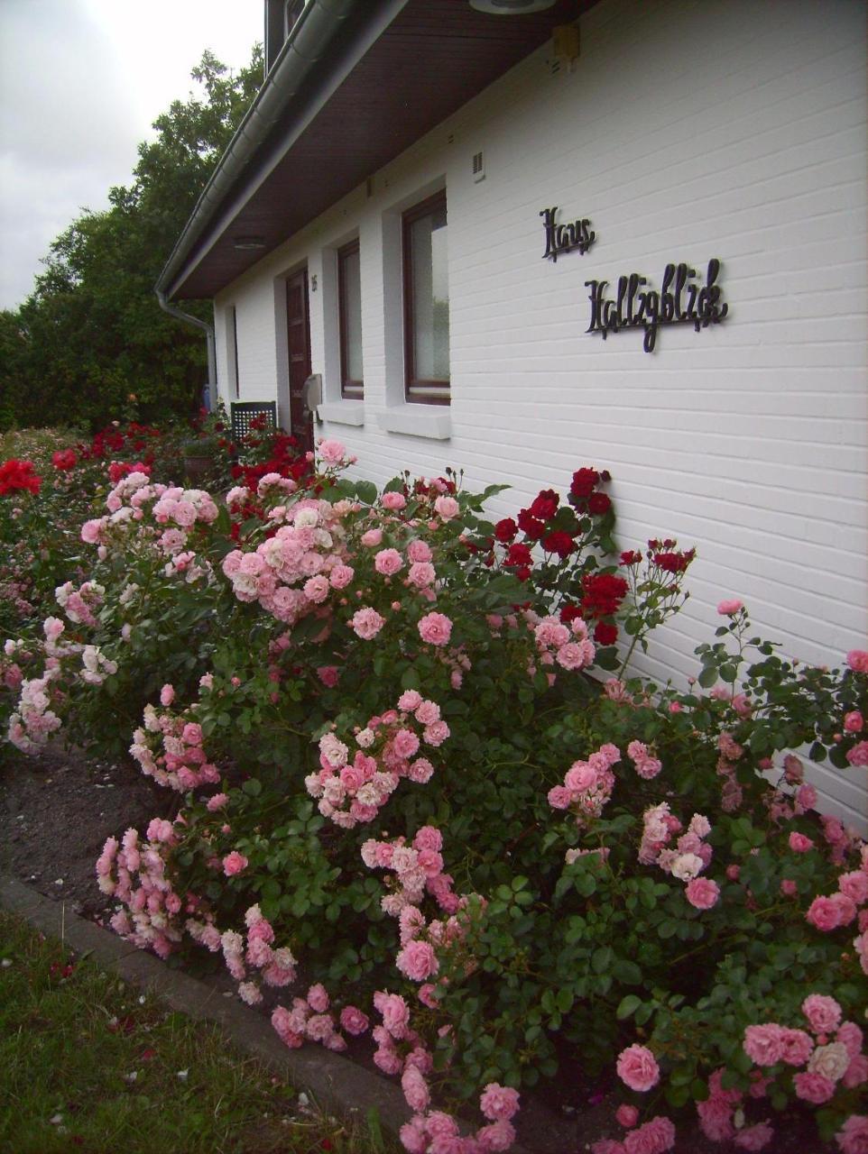 Haus-Halligblick-Ferienwohnung-Hamburger-Hallig Dagebüll Zewnętrze zdjęcie