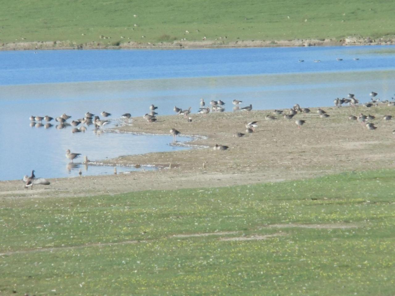 Haus-Halligblick-Ferienwohnung-Hamburger-Hallig Dagebüll Zewnętrze zdjęcie