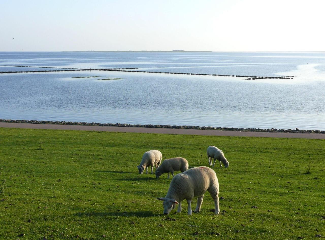 Haus-Halligblick-Ferienwohnung-Hamburger-Hallig Dagebüll Zewnętrze zdjęcie