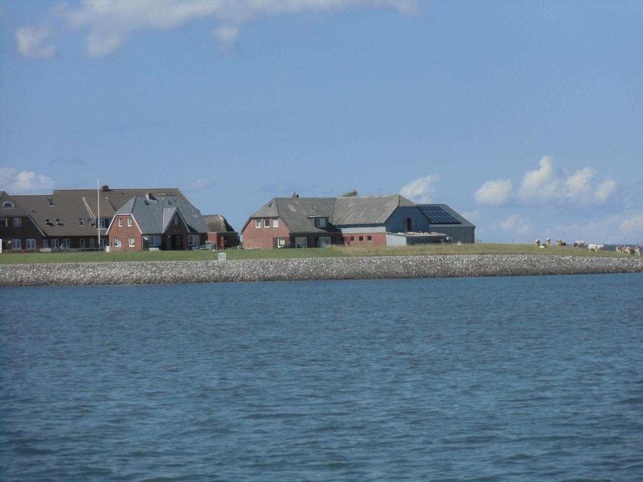 Haus-Halligblick-Ferienwohnung-Hamburger-Hallig Dagebüll Zewnętrze zdjęcie