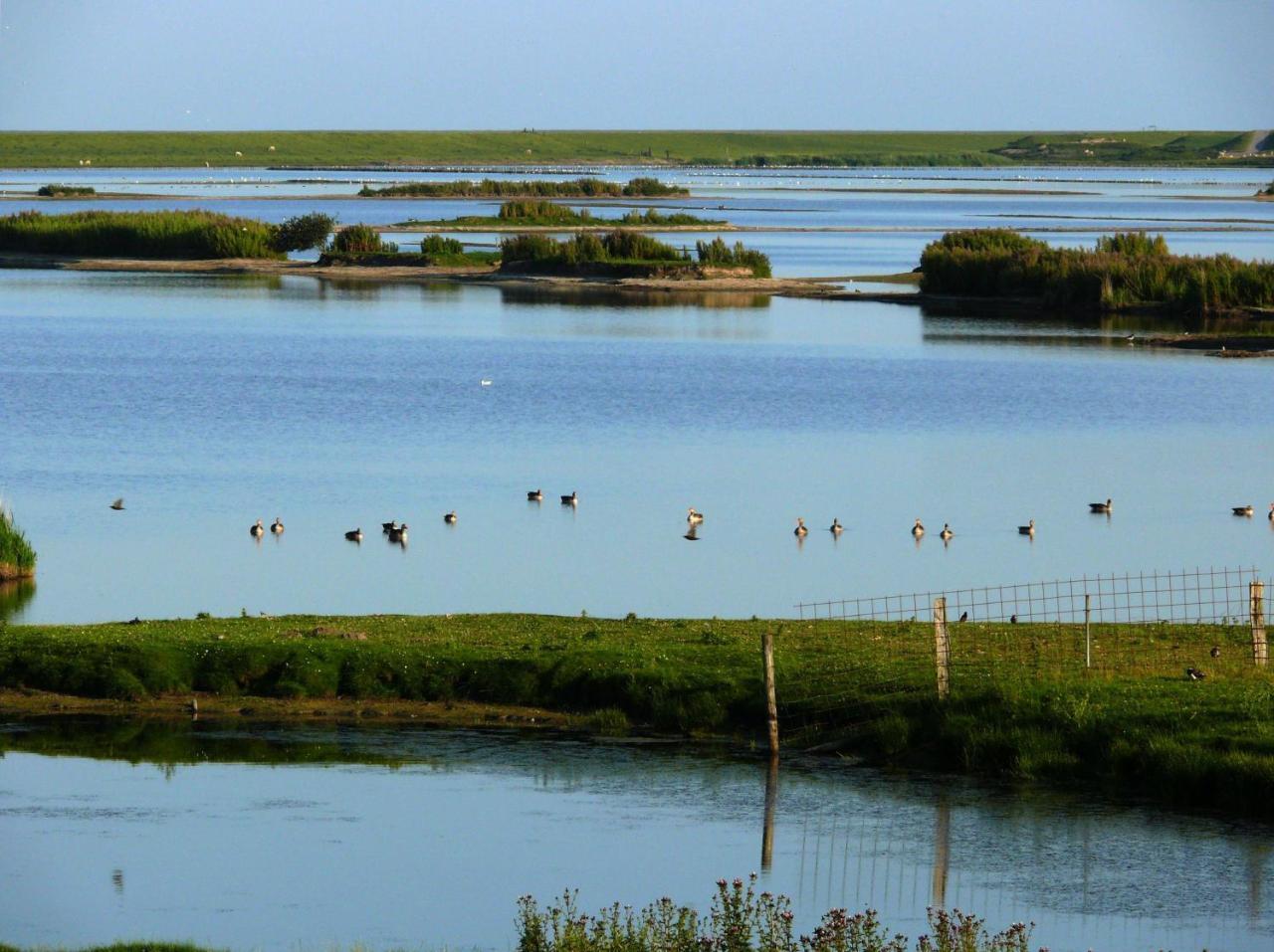 Haus-Halligblick-Ferienwohnung-Hamburger-Hallig Dagebüll Zewnętrze zdjęcie